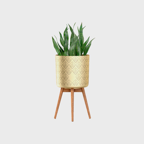 Wooden Table For Pot & Plants
