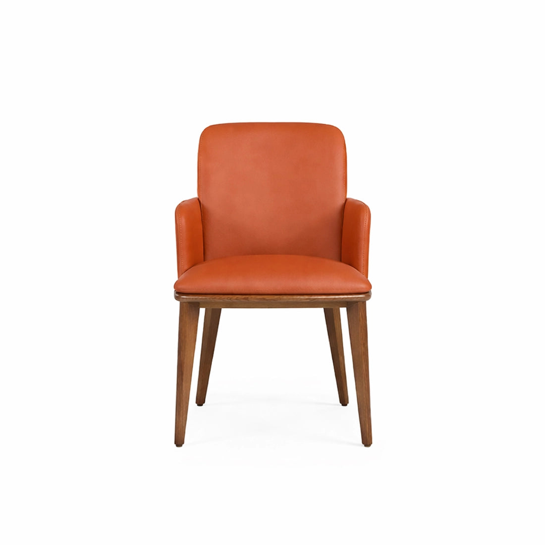 Modern Wooden Dining Chair